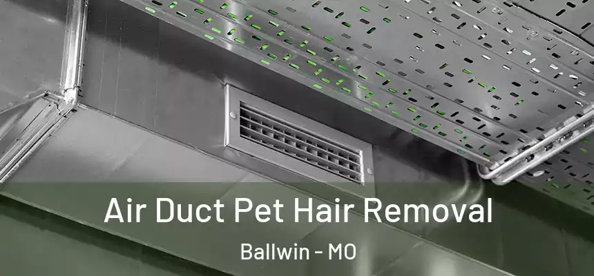  Air Duct Pet Hair Removal Ballwin - MO