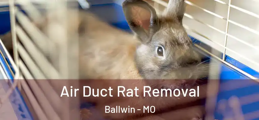 Air Duct Rat Removal Ballwin - MO
