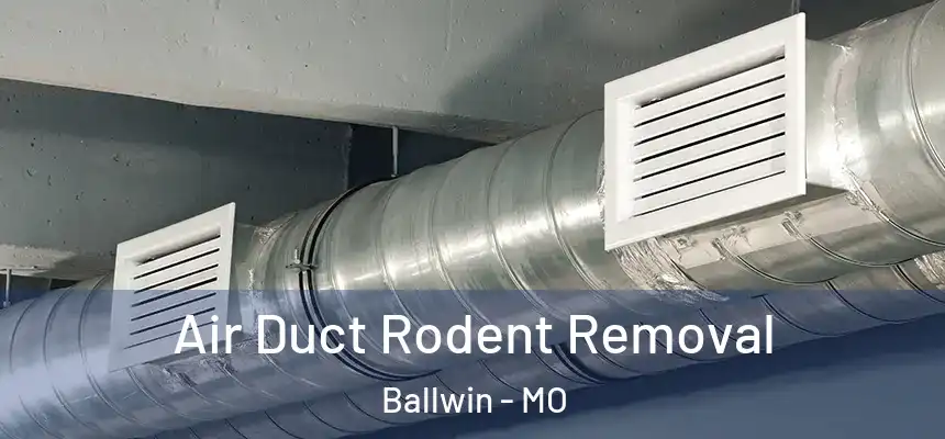 Air Duct Rodent Removal Ballwin - MO