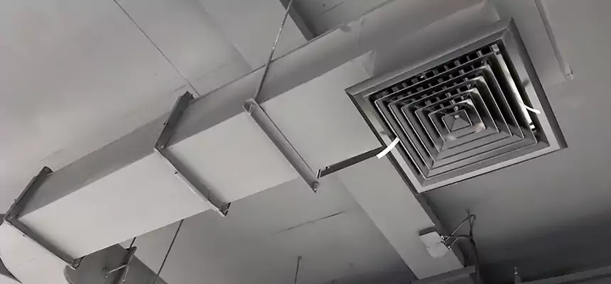 Restorative Allergy Relief Vent Cleaning – Coil, Blower & Housing Detail in Ballwin