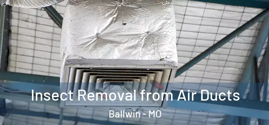 Insect Removal from Air Ducts Ballwin - MO