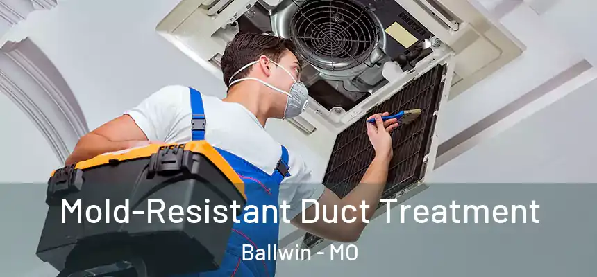  Mold-Resistant Duct Treatment Ballwin - MO