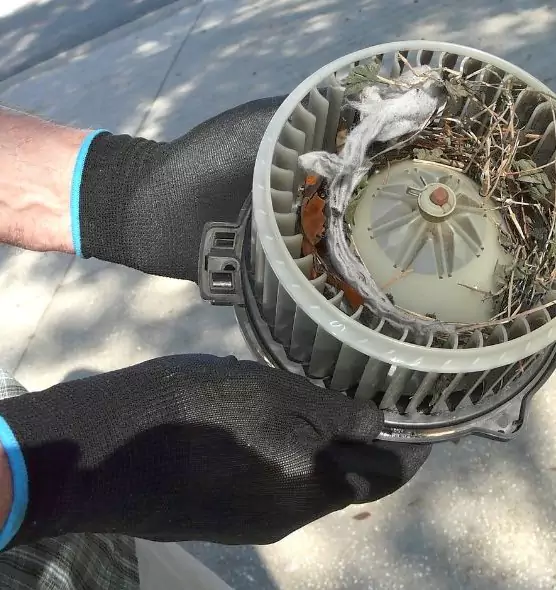 About Air Duct Mice Removal in Ballwin, MO