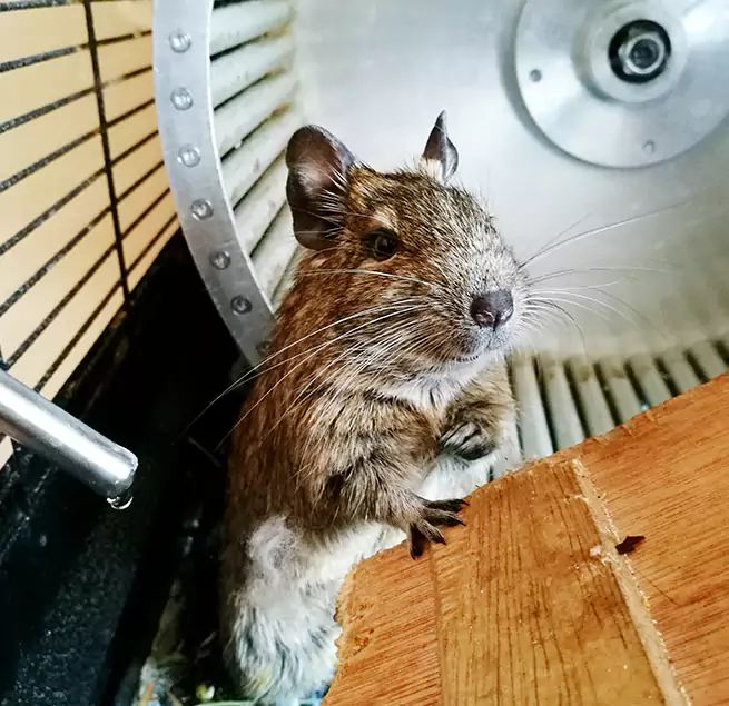 Why Homeowners & Businesses Trust Us Ballwin, MO